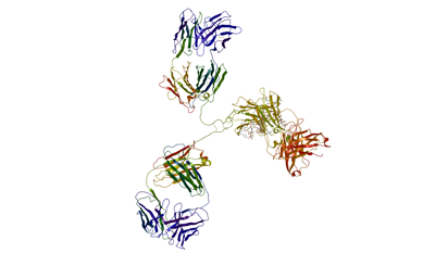 Biotinylated Recombinant Proteins