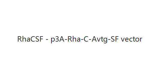 RhaCSF - p3A-Rha-C-Avtg-SF vector