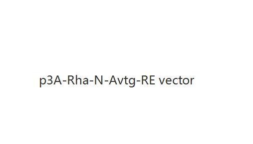 p3A-Rha-N-Avtg-RE vector