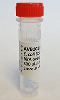 AVB101 - E.coli B strain for efficient in vivo biotinylation