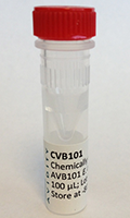 CVB101 - CVB101- Chemically competent cells