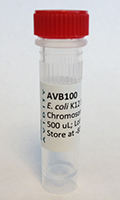 AVB100 - AVB100 - Glycerol Stock