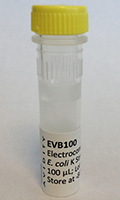 EVB100 - EVB100 electro-competent