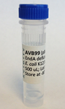 AVB99 - AVB99 - Glycerol Stock