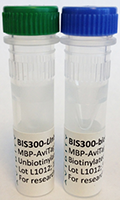 BIS-300 - BIS-300 positive and negative control protein kit